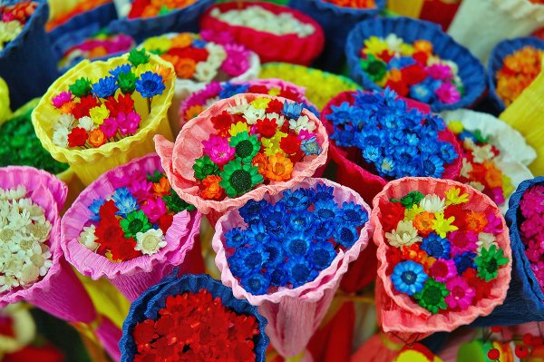 Разноцветные цветы