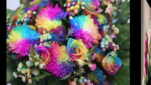 Покрашенные цветы