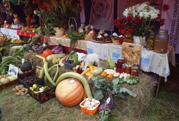 День садовода и огородника праздник