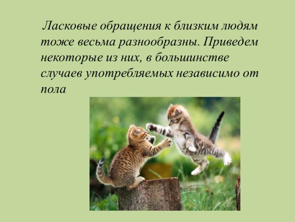 Праздник ласкового обращения