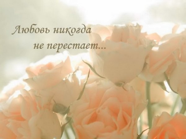 Ты нежность цветов