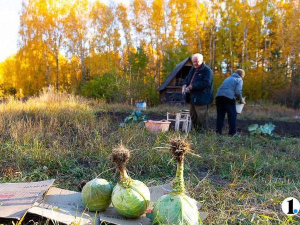 Александр Сытник 12 сентября