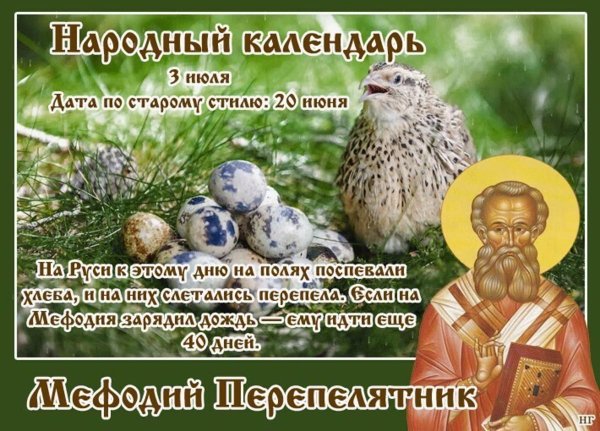 Мефодий перепелятник 3 июля народный календарь
