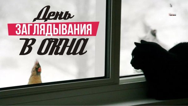 Заглядывает в окно