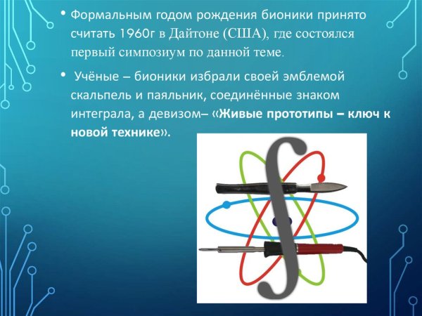 Направления бионики