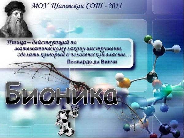 13 Сентября день бионики