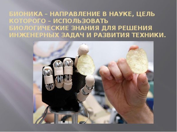 День рождения бионики