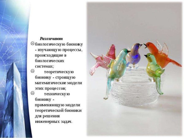 Теоретическая Бионика математическая модель