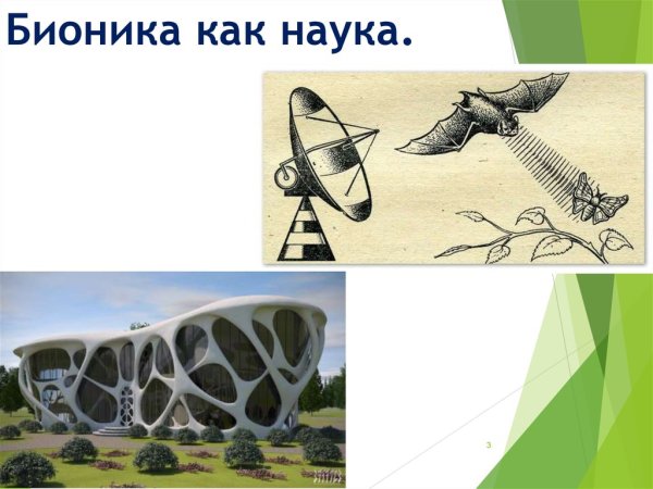 Джек стил Бионика