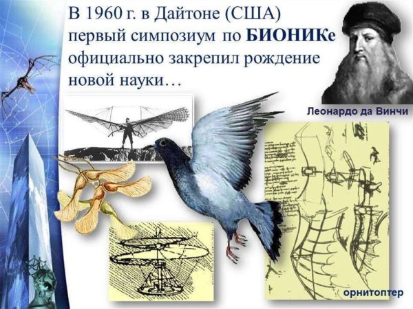 Бионика в биологии презентация