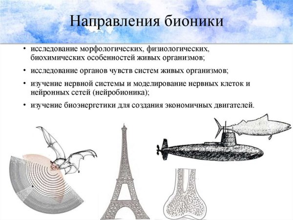 Бионика сущность науки направления достижения