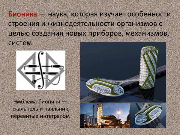 Бионика это в биологии