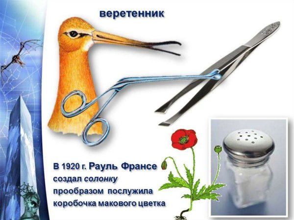 Примеры бионики в меди