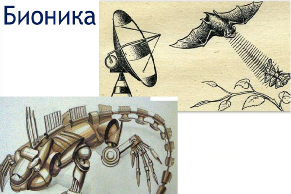 Общеморфологическая Бионика