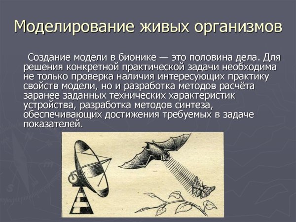 Моделирование живых организмов Бионика