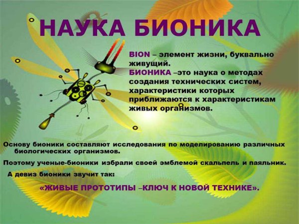 Бионика это в биологии