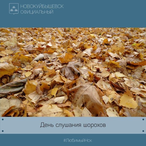 День слушания Шорохов 14 сентября