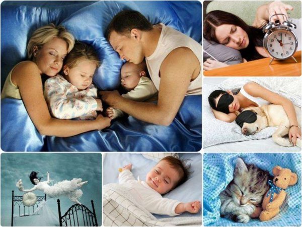 Всемирный день сна (World Sleep Day)