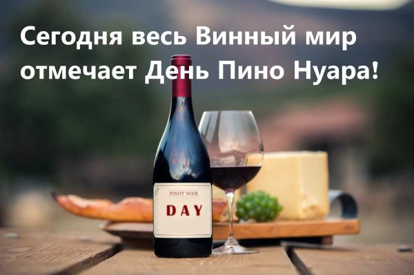 Международный день вина