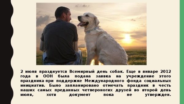 Картинки на День ответственности за свою собаку (57 фото)