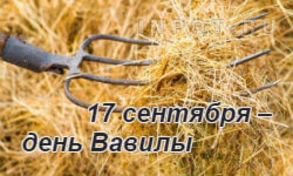 Вавила поздние вилы 17 сентября картинки