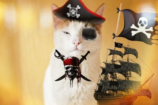 Кошачий пират