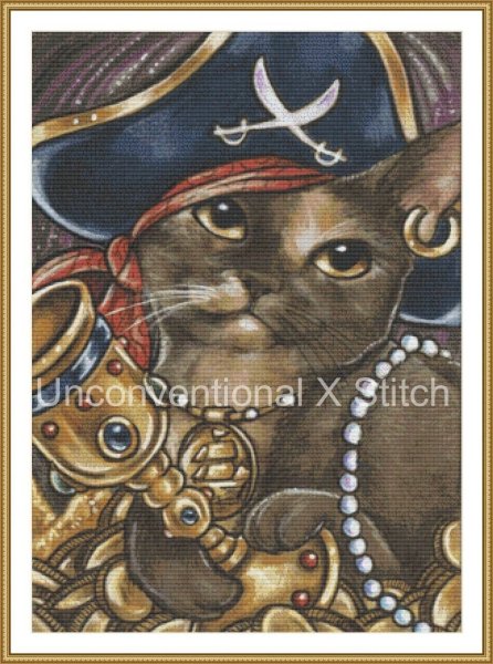 Кот пират арт
