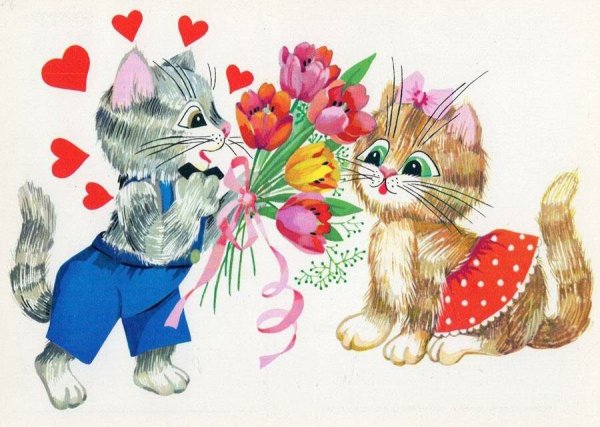 Открытка кошки