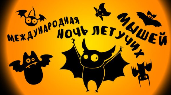 Международная ночь летучих мышей 20 сентября