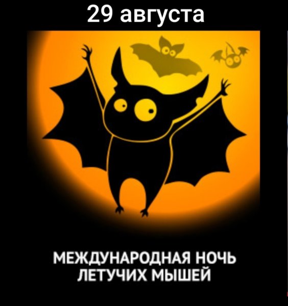 Международная ночь летучих мышей 20 сентября
