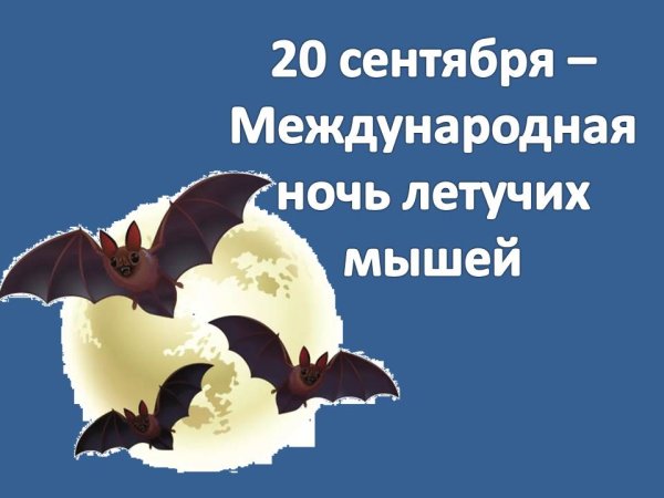 Международная ночь летучих мышей