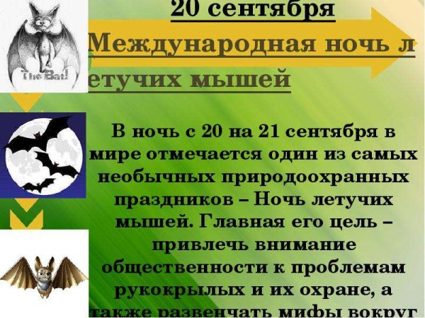 Международный день летучих мышей