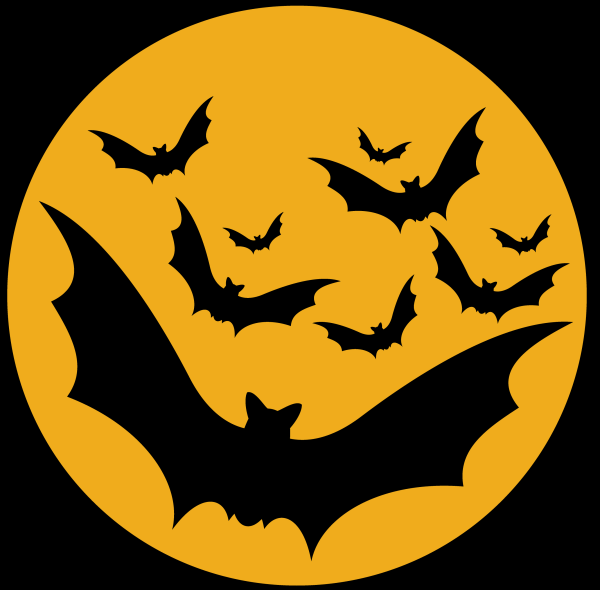 Международный день летучих мышей