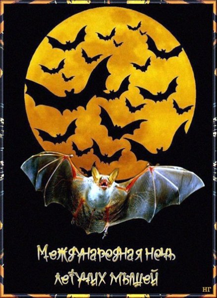 День летучих мышей