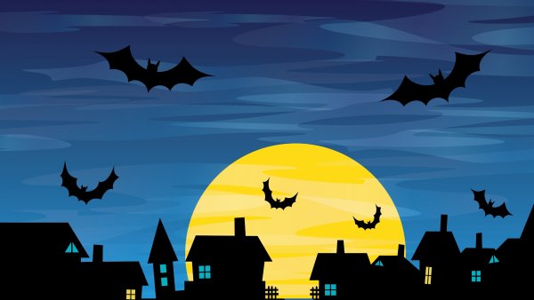 Рабочий стол ночь и летучие мыши