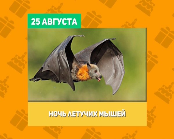 Международный день летучих мышей