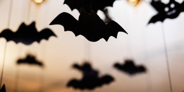 28 Августа ночь летучих мышей