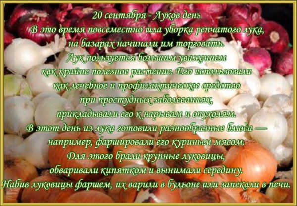 Луков день