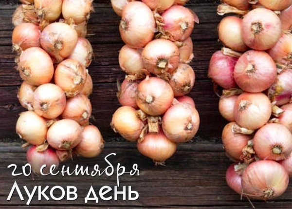 Луков день праздник