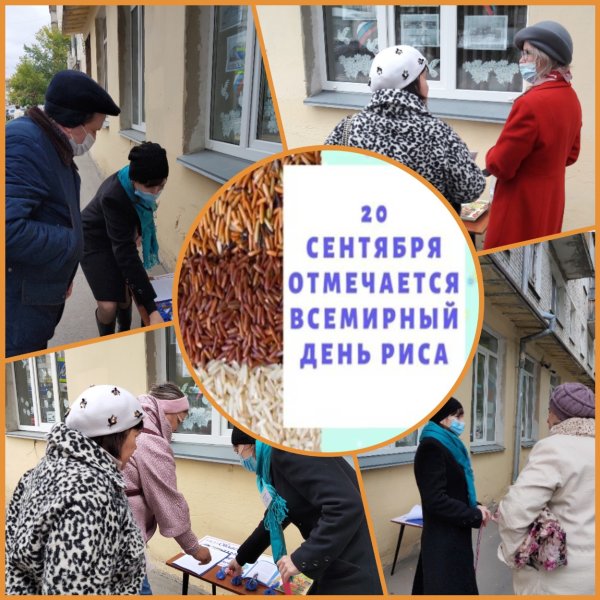 Всемирный день риса
