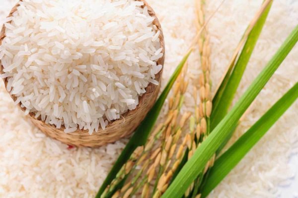 Jasmine Rice
