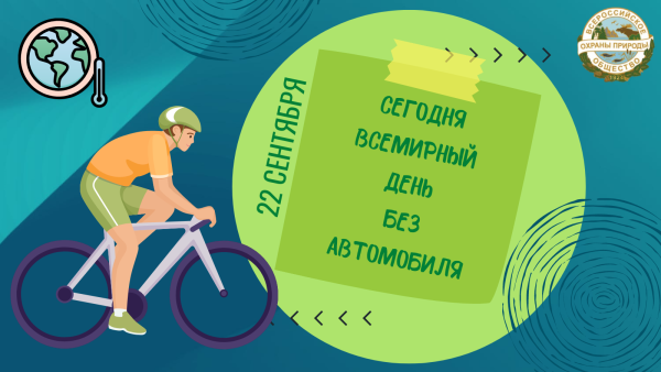 Всемирный день без автомобиля