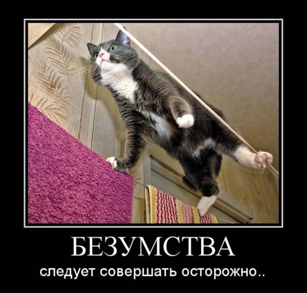 День незапланированных безумств