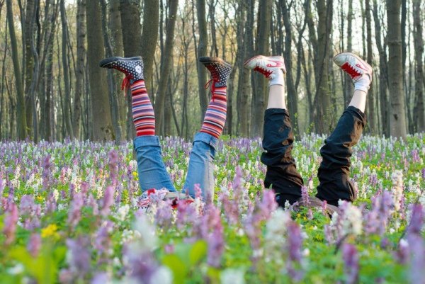 Веселая Весна