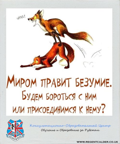 Позитивные фразы в картинках