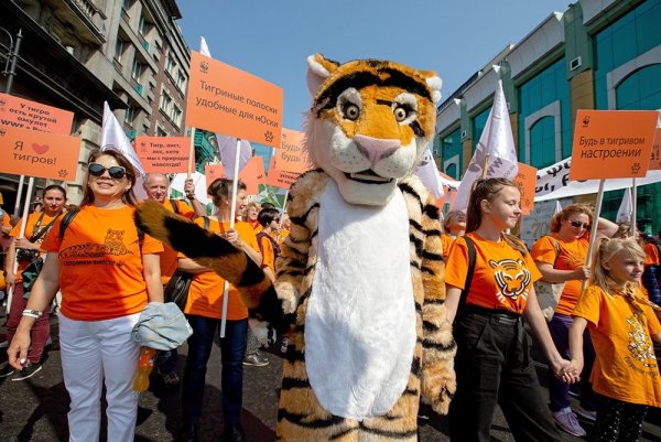 Праздник тигра во Владивостоке