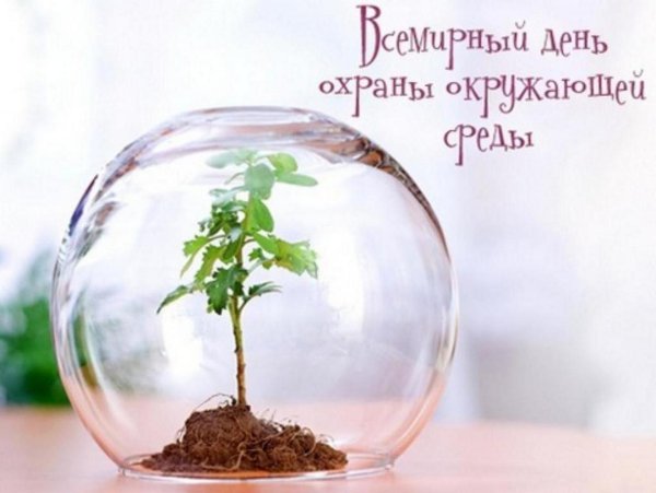 Поздравление с днем эколога