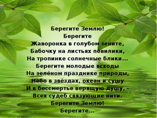 Берегите землю
