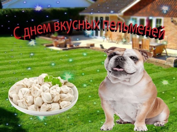С днём пельменей Мем