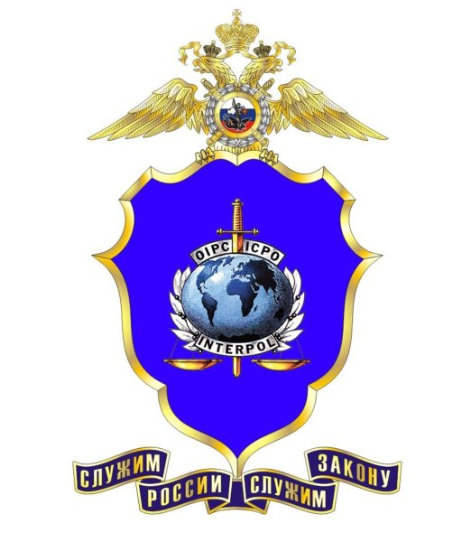 Национальное центральное бюро Интерпола МВД России